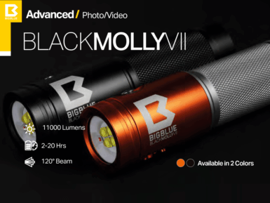 Bigblue Black Molly VII – Luz de foto y video submarino de 2900 lúmenes